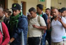 Глава МВД Польши предложил закрыть границы от мигрантов-мусульман