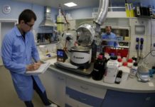 В МГУ протестировали заживляющий диабетические раны антиоксидант