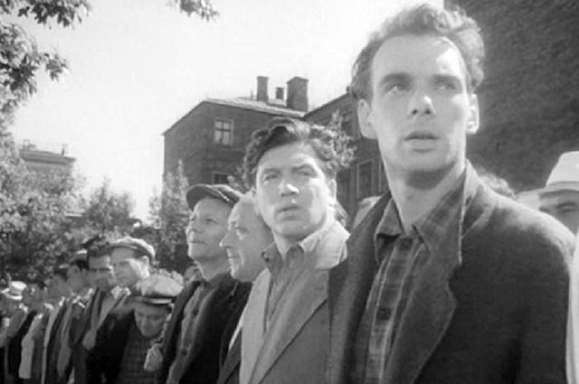 «Летят журавли»