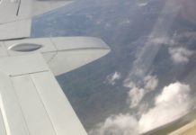 Самолет вернулся в аэропорт Казани из-за попавшей в двигатель птицы