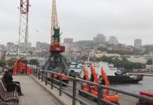 Путин поручил начать переход на рублевые расчеты в портах с 1 января 2018