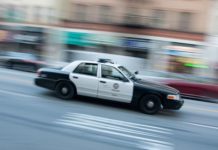 В США полицейские час гонялись за десятилетним угонщиком