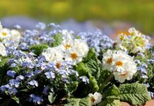 Осло будут защищать от террористов огромные клумбы