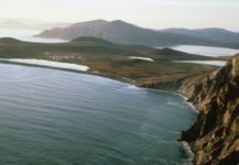 На побережье Чукотки обнаружили гигантских «морских змей»